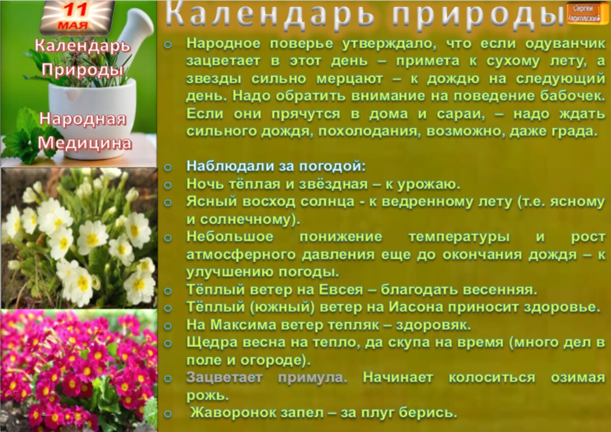 11 мая - все праздники дня во всех календарях. Традиции, приметы, обычаи и  ритуалы дня. | Сергей Чарковский Все праздники | Дзен