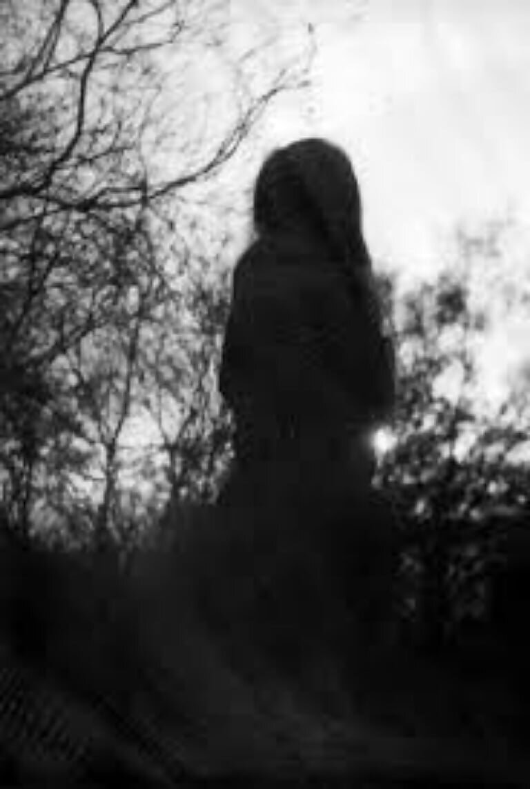 фото взято из открытого доступа