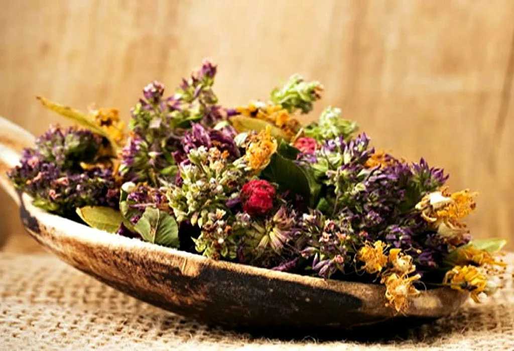 Яндекс. Картинки.