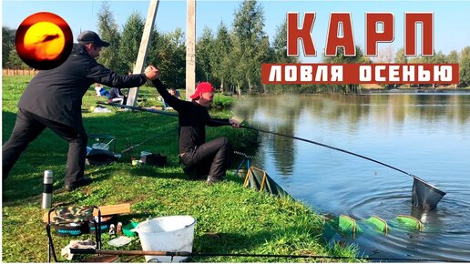 Ловля карпа осенью / Рыбалка с ночевкой на карпа / Метод ловли карпа / Осенний карп в Еганово