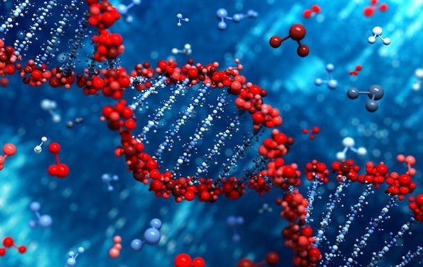 Дезоксирибонуклеиновая кислота (ДНК) является носителем генетической информации всего живого.