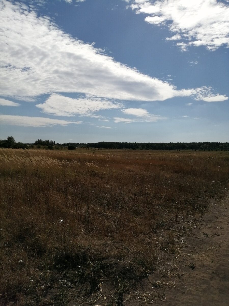 Новоживотинное