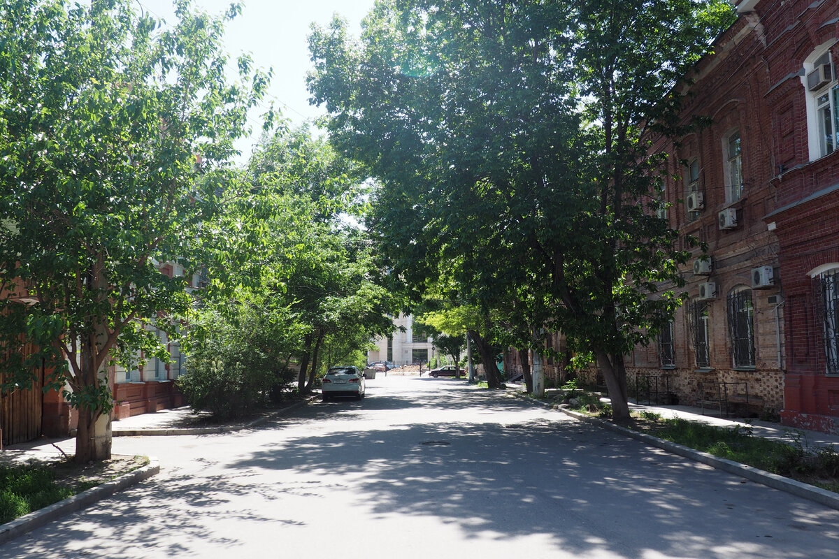 Зеленые астраханские улицы
