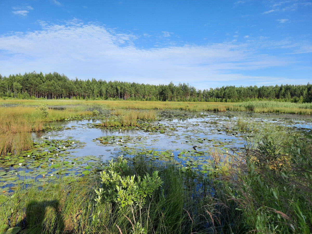 Фото "Зов вечного".
