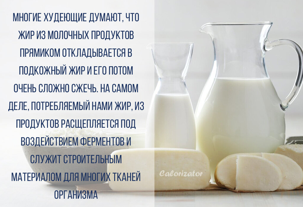 Влияют ли молочные продукты на процесс похудения