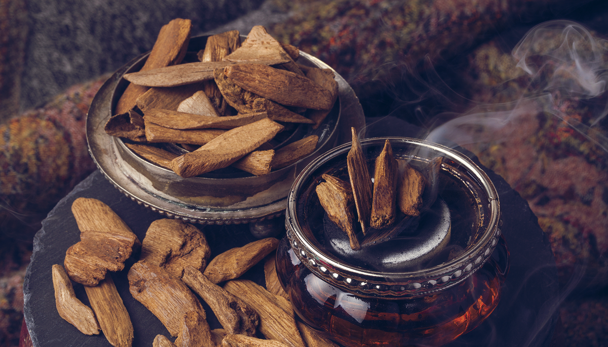 Агаровое дерево или уд