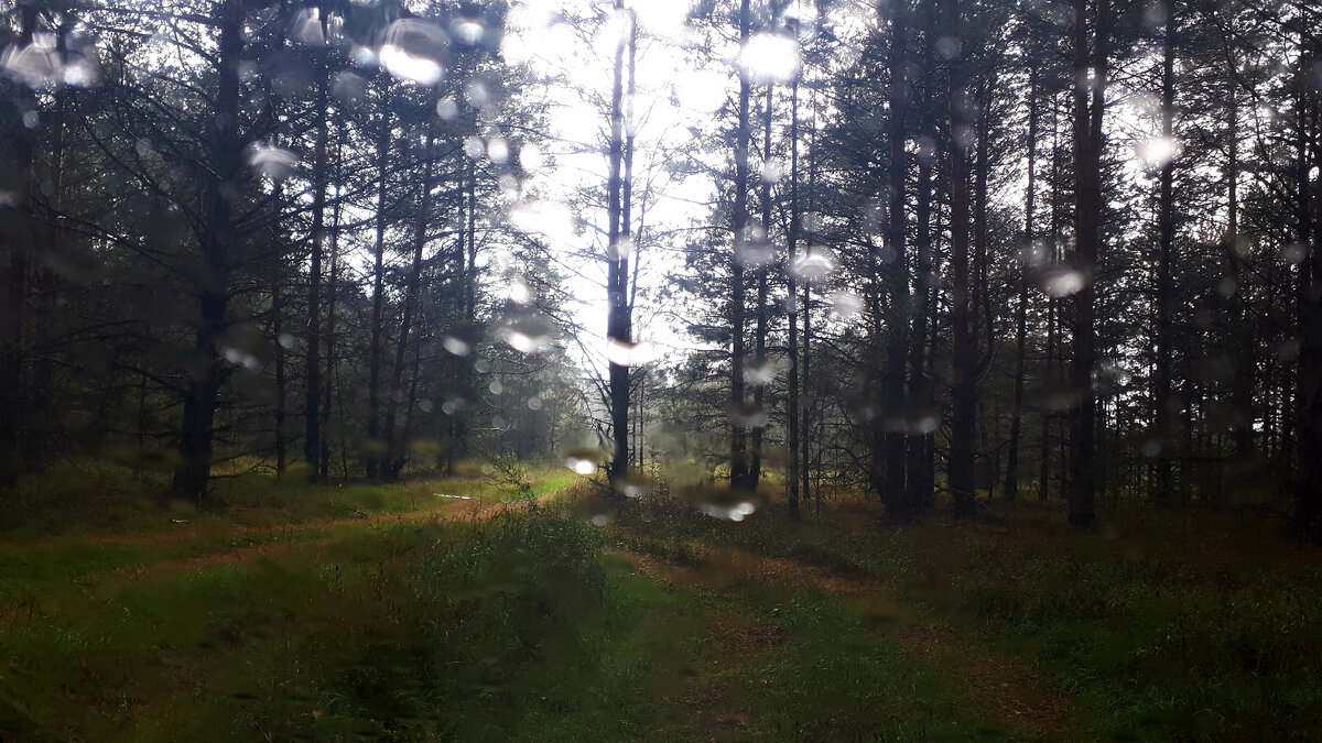 Фото "Зов вечного".