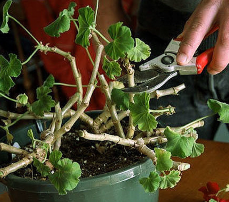 Добавьте описание