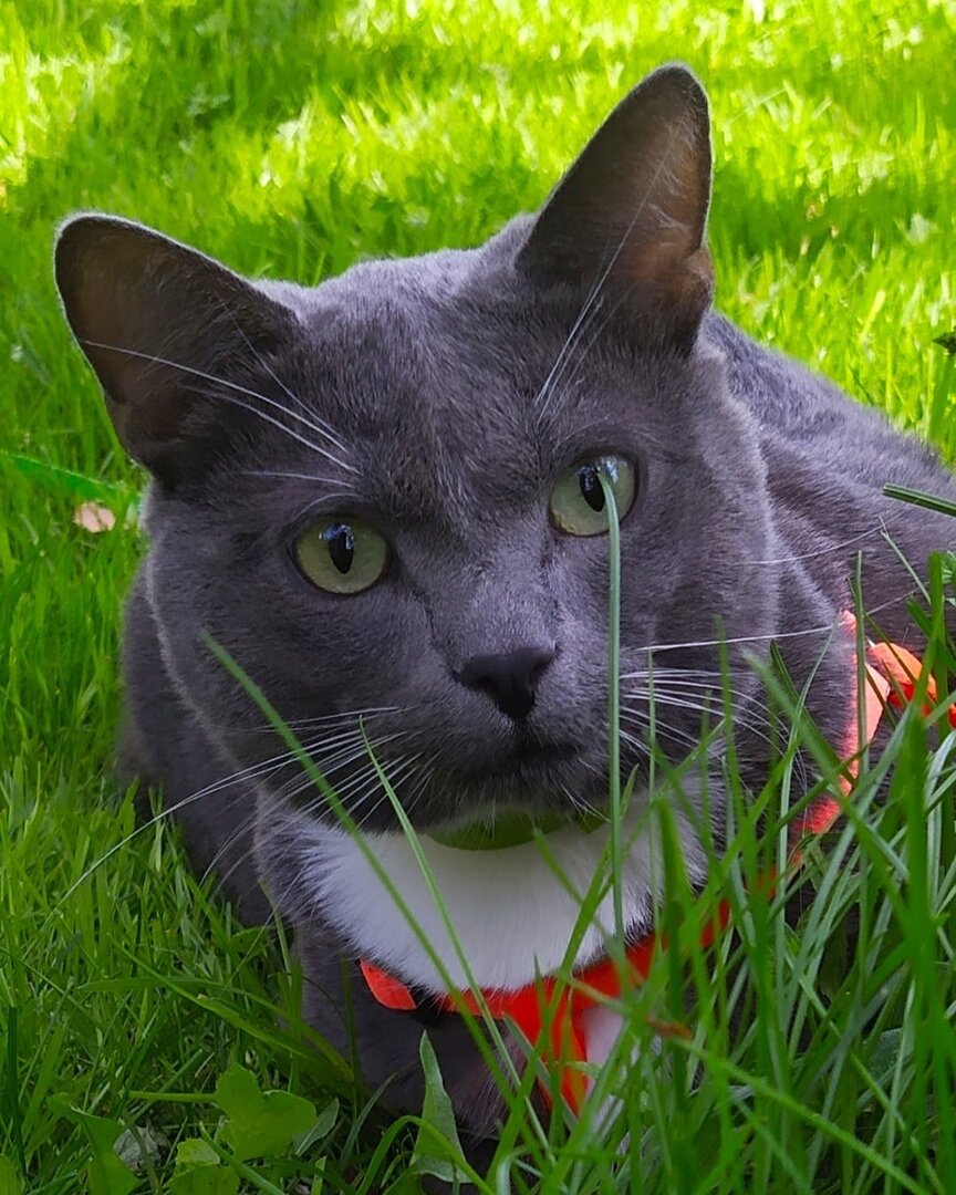 фото использовано в качестве иллюстрации. Источник "Яндекс.Картинки"