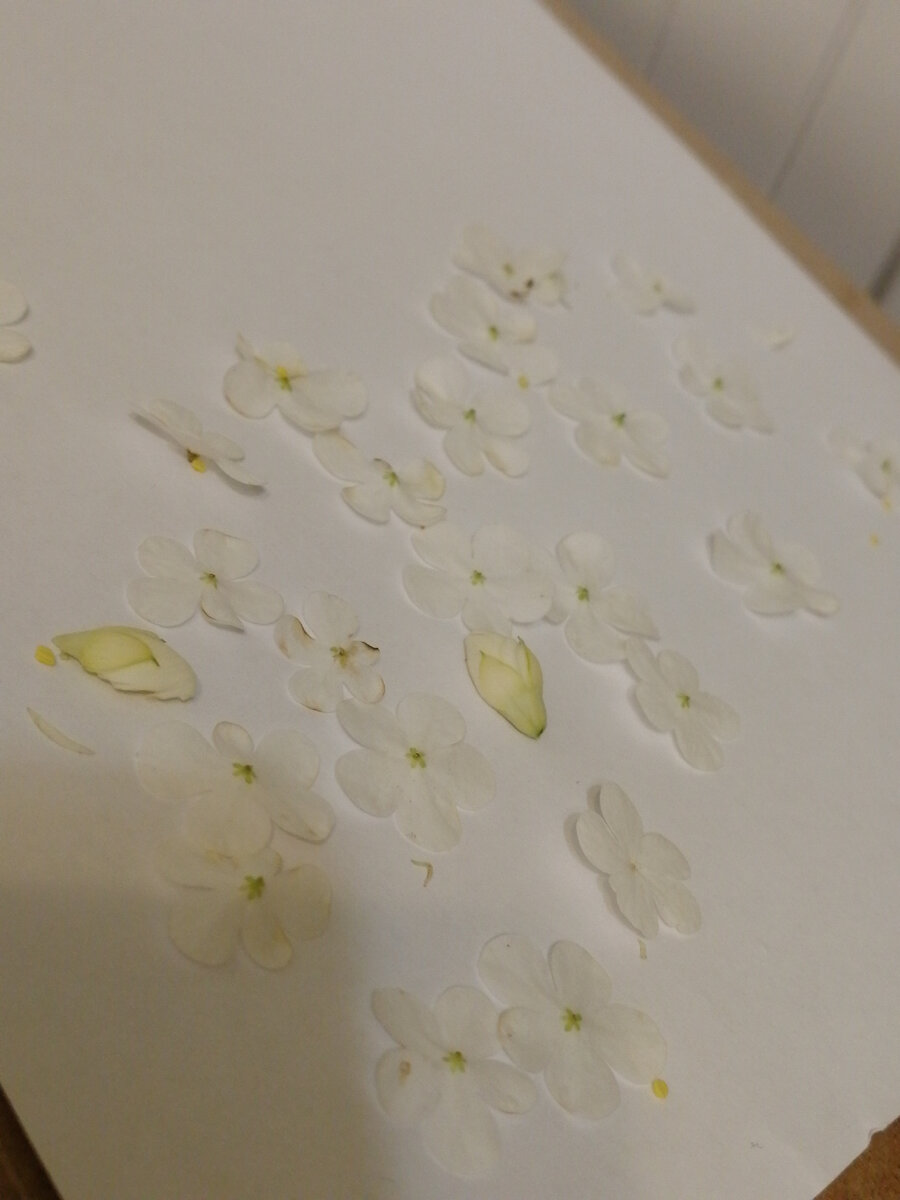 Одним слоем рассказываем