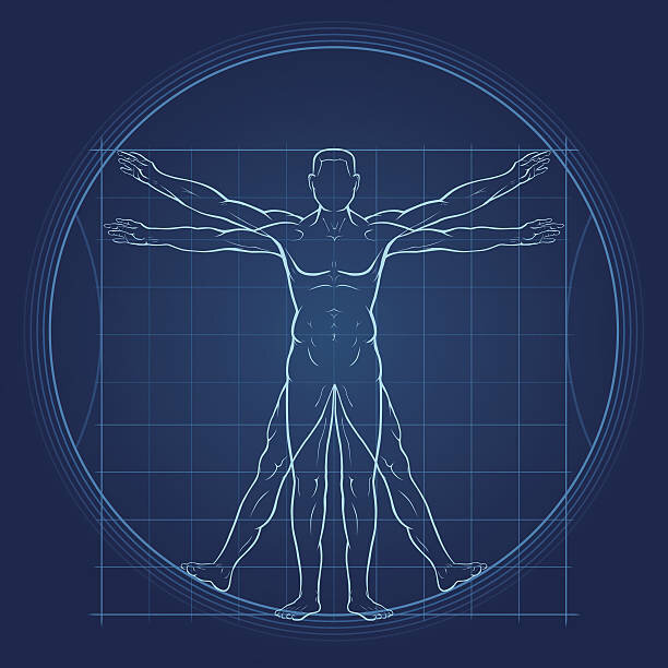 Виртувианский человек