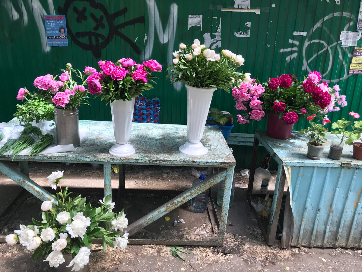 Ну, фончик, конечно, так себе =)) Но выбирать не приходится,  что есть...