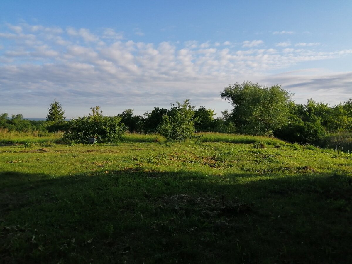 Утром тени длинные - прохладно. Фото автора