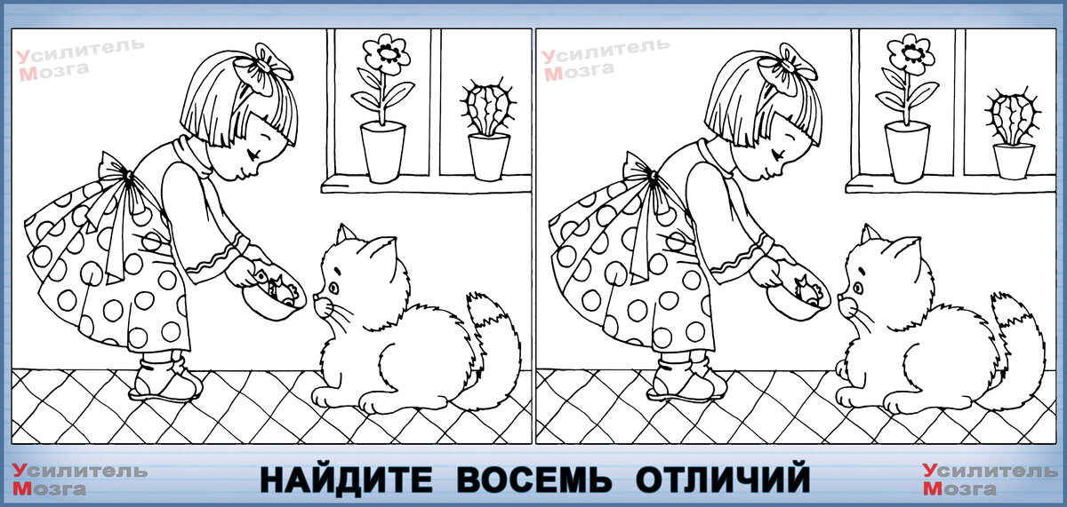 найдите отличия