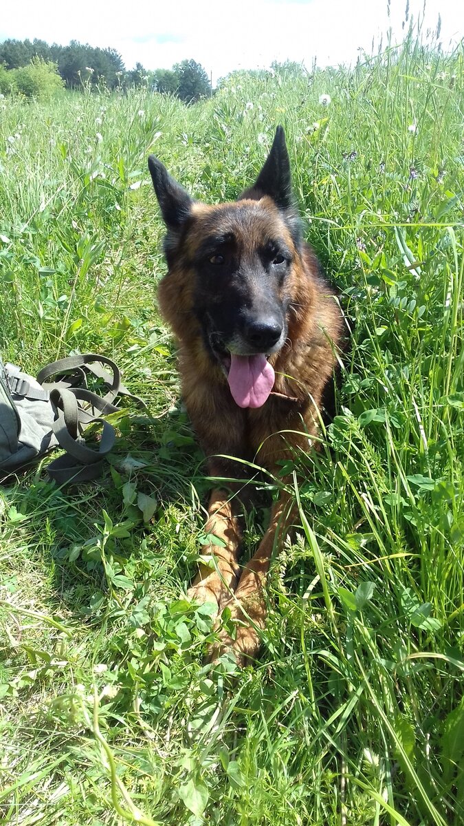  Эрих, май или июнь 2019. Фото автора. 