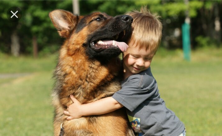 Источник Яндекс. Картинки