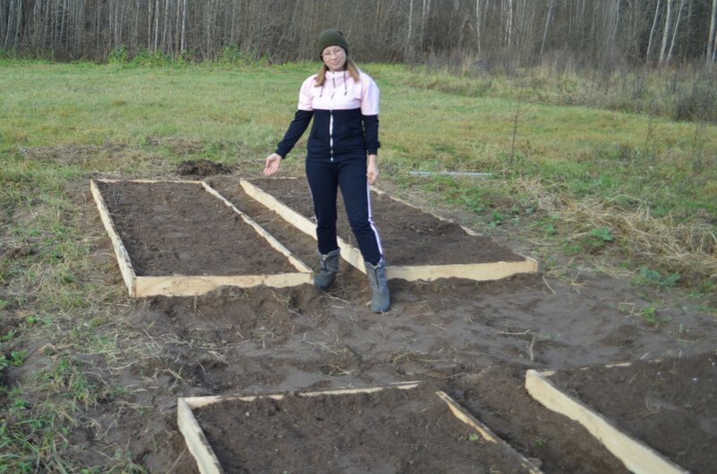 На такие грядки сажала в прошлом году чеснок.