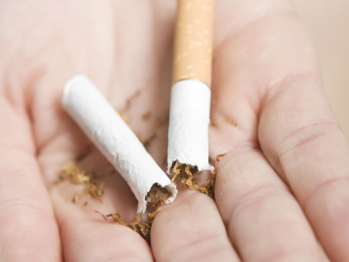 Яндекс. Картинки