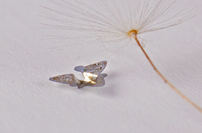 Фото: Northwestern University