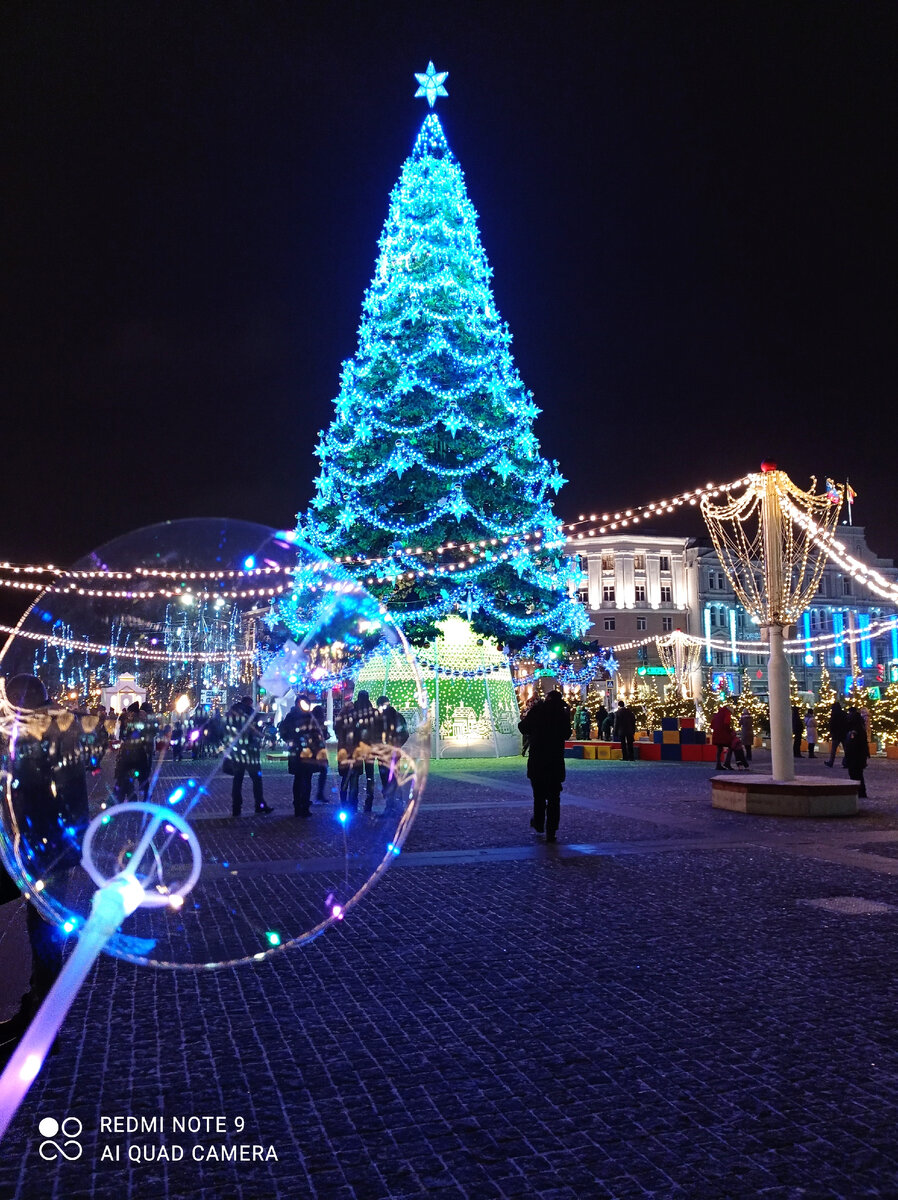 Мэр Воронежа Вадим Кстенин рассказал о правилах посещения площади Ленина в дни новогодних праздников. Об этом он сообщил на заседании оперштаба в четверг, 2 декабря.

По его словам, горожан будут пропускать на площадь без QR-кода и измерения температуры. При этом от организации традиционных масштабных гуляний городские власти в этом году решили отказаться. Но на площади по-прежнему будет работать каток, ярмарочный городок и фотозоны.

Монтаж елки и праздничного оформления на площади Ленина планируется завершить до 25 декабря, а открытие состоится 31 декабря