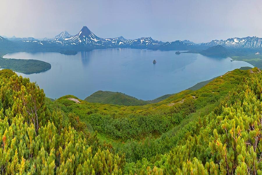 Twitter.com Дальний Восток 