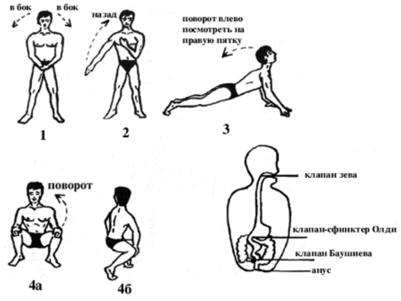 Асаны для очищения кишечника фото 18