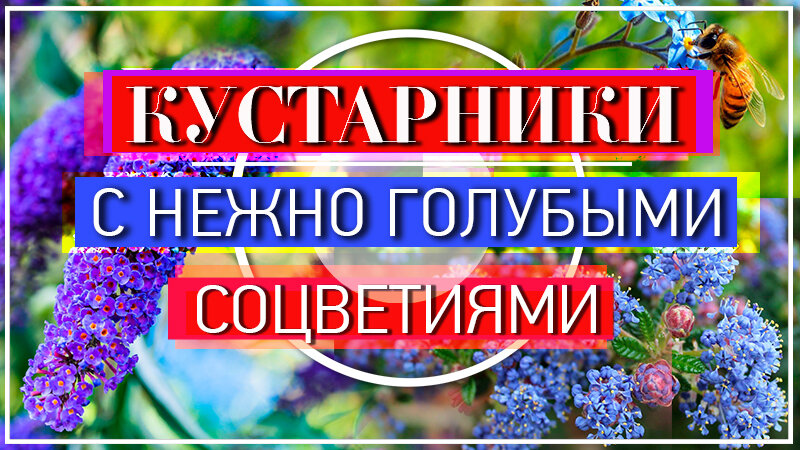 Видео на эту тему можете посмотреть в конце статьи