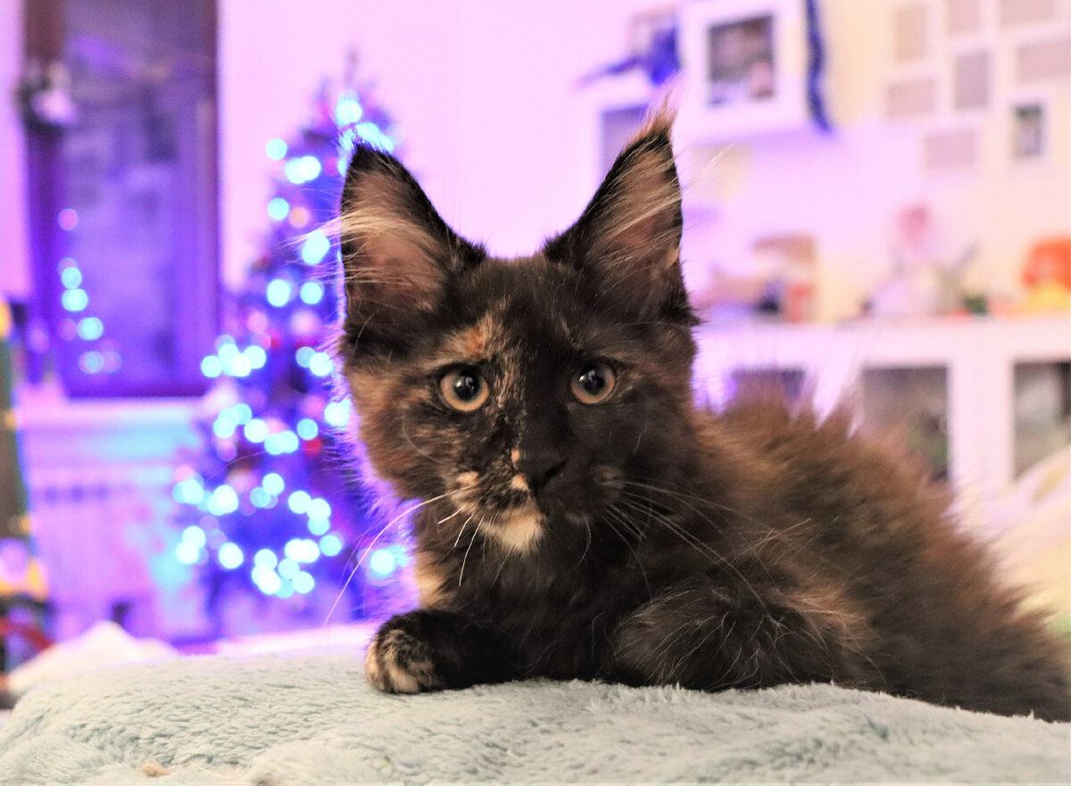 Фото из личного архива.