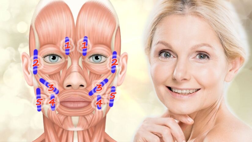 Точки и направления массажа // коллаж автора, изображения fizio-center.com, fb.ru