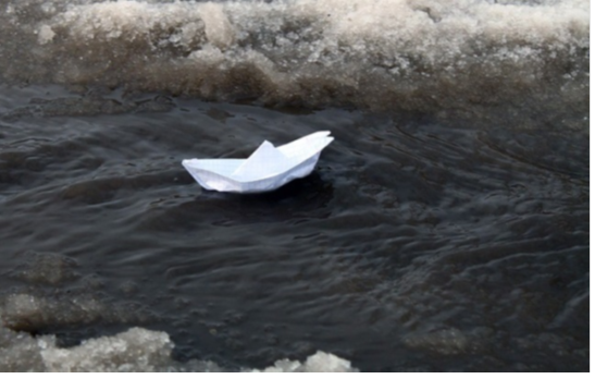 Фото из свободных источников интернета. 