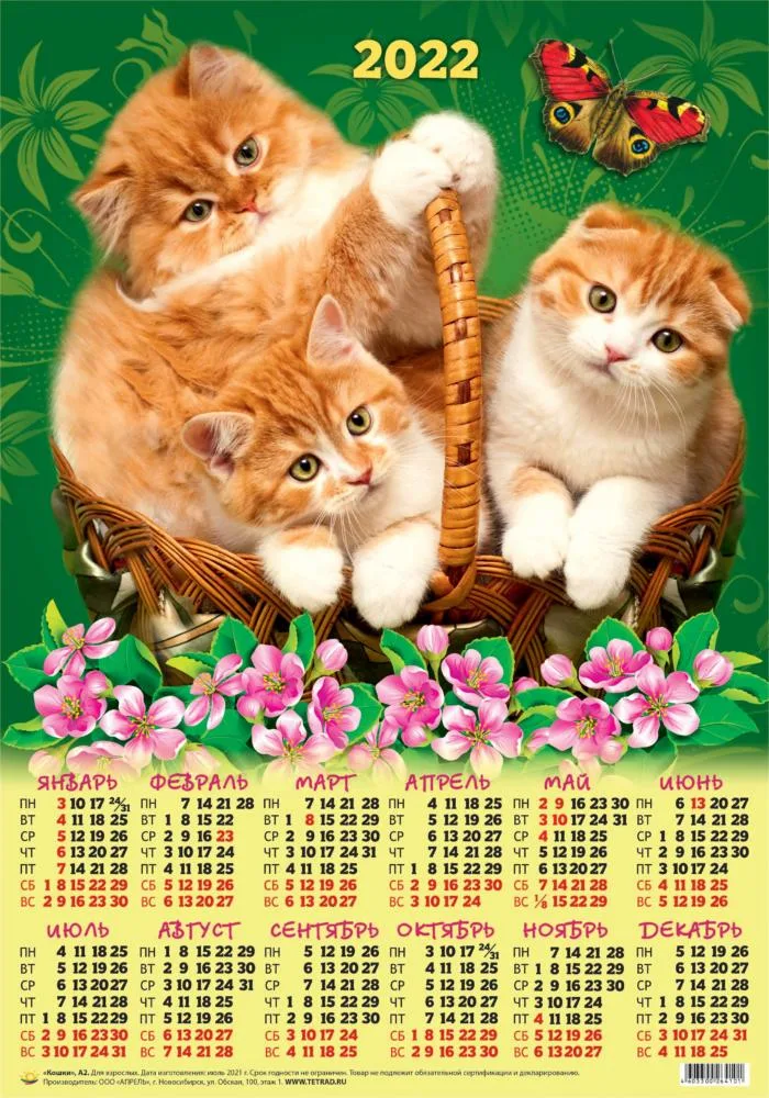 Фот ос сайта tetrad.ru