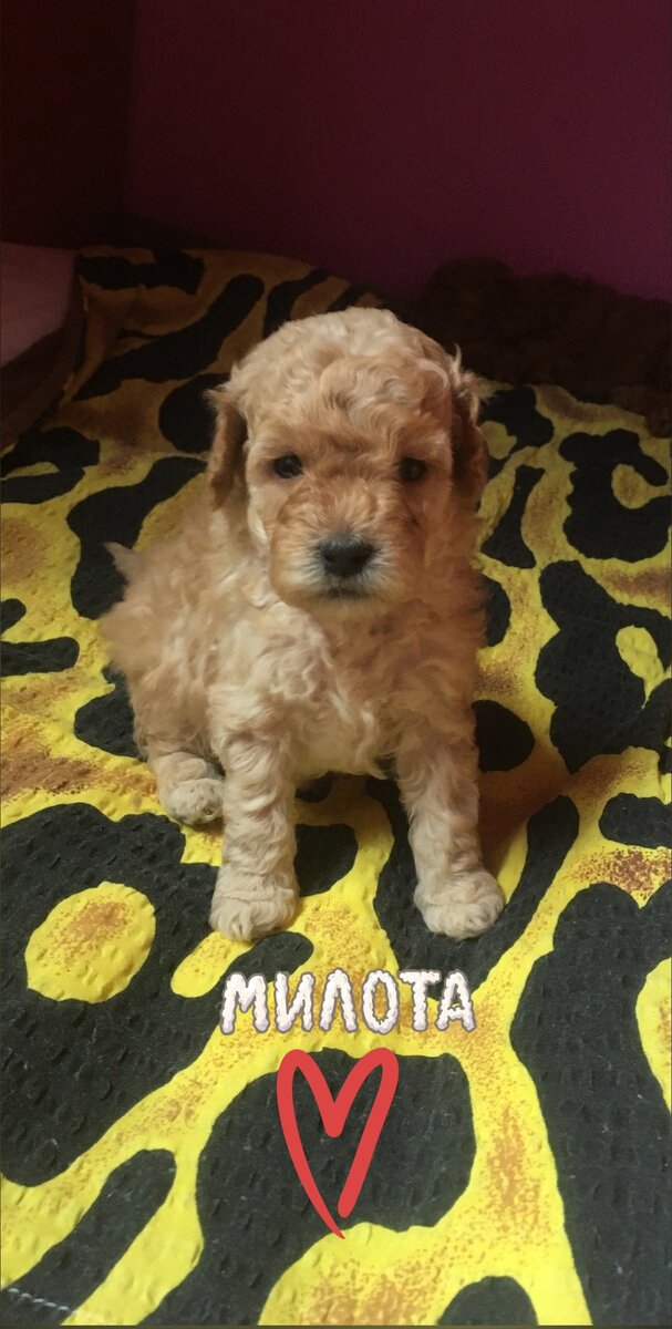 Вот такой я была в возрасте одного месяца. Фото из личного архива автора.