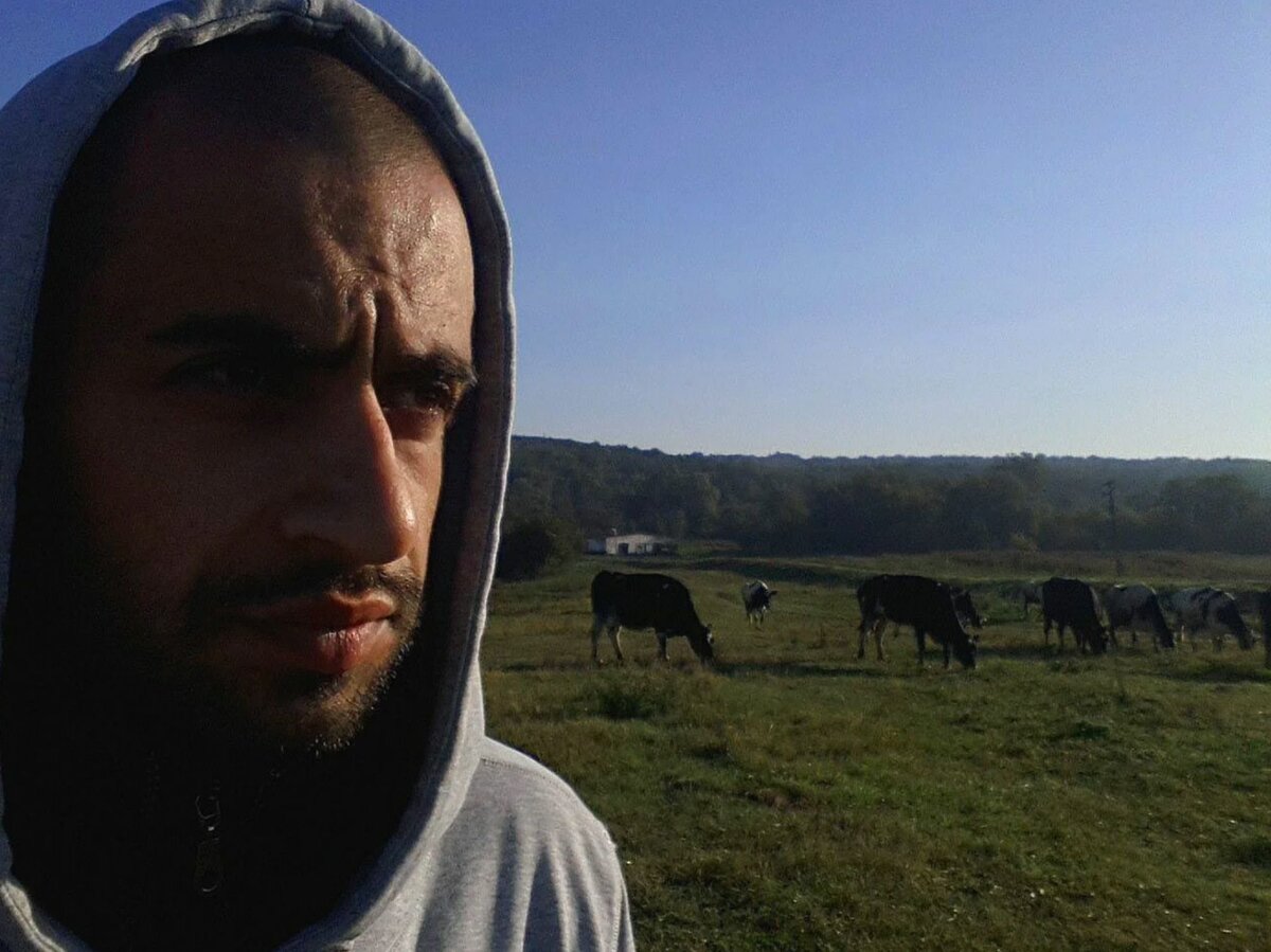 Пару лет назад у нас было 700 голов коров. Знаю о них не понаслышке.