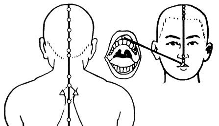 На фото - меридианы женьмай (слева) и думай (справа), и точка их соединения.