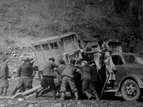 Привозка зубров в 1940 году