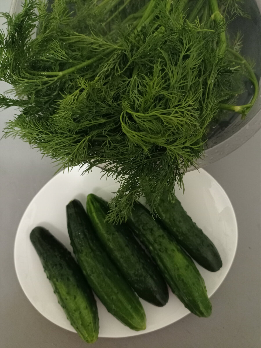 Фото автора канала "Два едока. Клава"