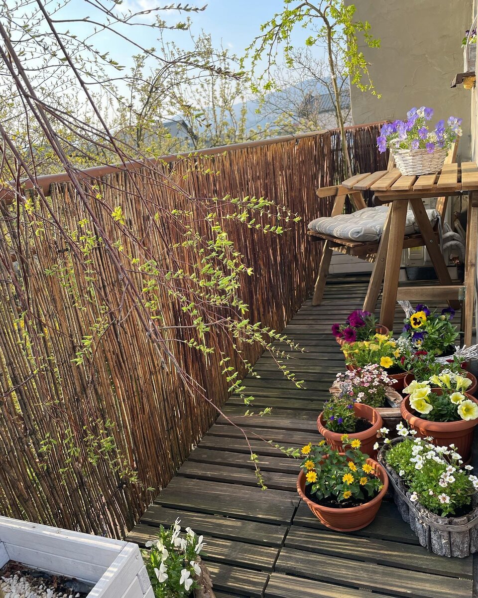 Соцсети блогера Beatas P