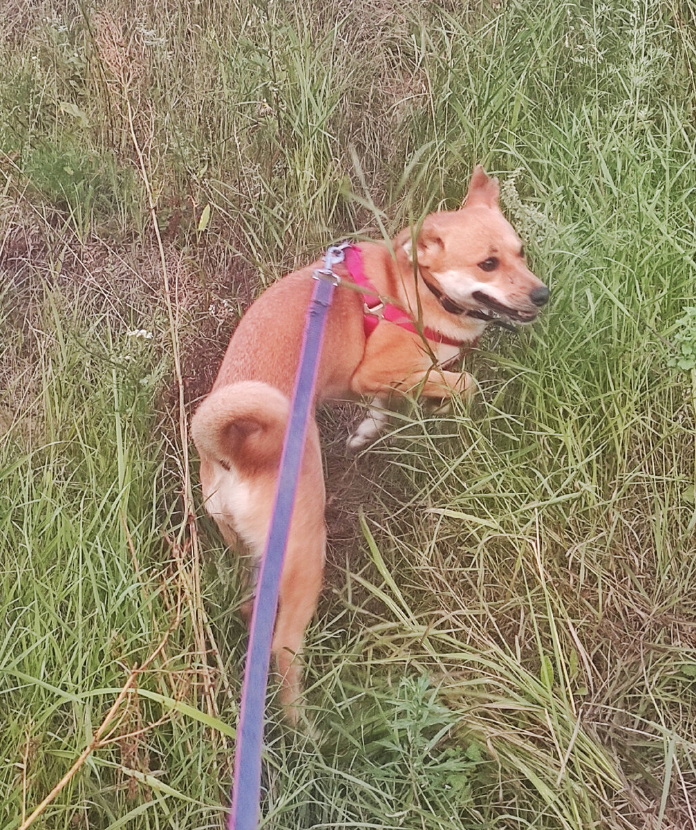 Чет стрёмно