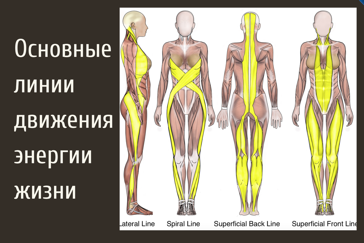 Жизненная энергия. Что, где, когда? | здрава с Александром Крыгиным | Дзен