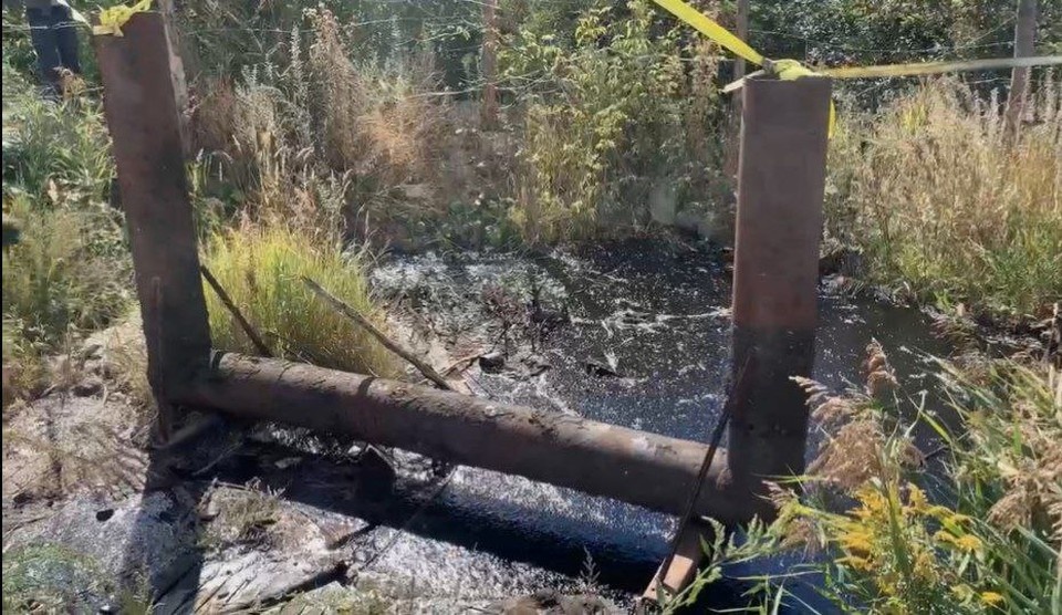     Фото: скриншот из видео пресс-службы администрации города Орла