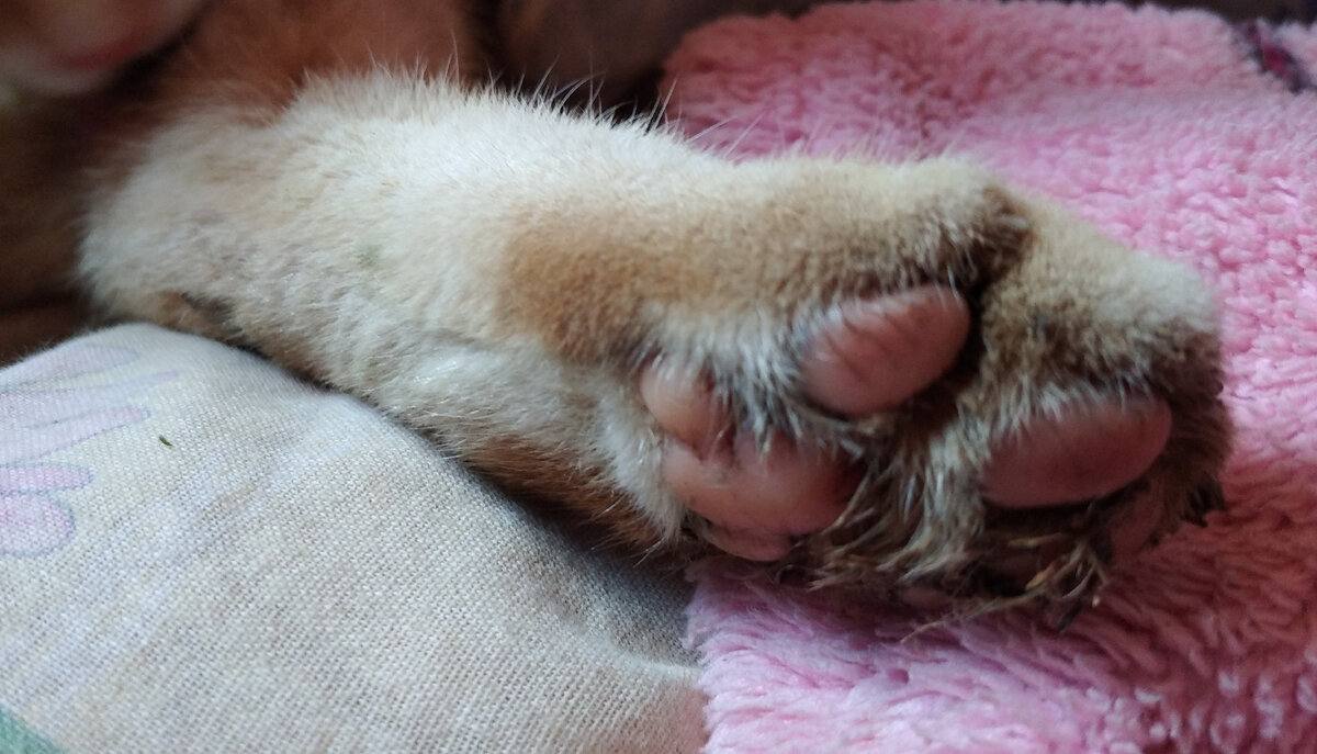 Личное  фото