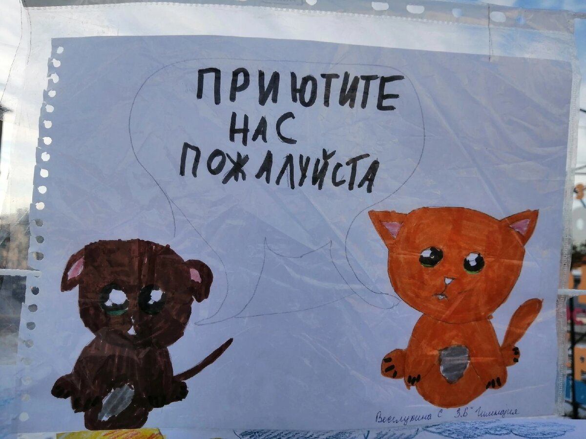 Дети нарисовали  прекрасные рисунки Смотрите галерею .>
Спасибо большое  Анне Александровне  за  организацию  художественной галереи