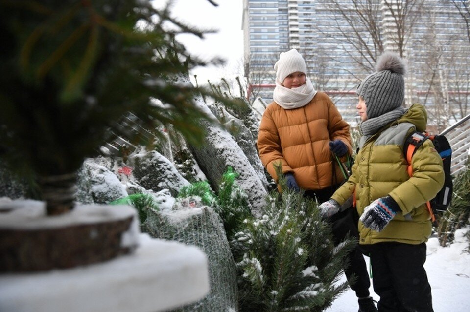     Фото: архив "КП"