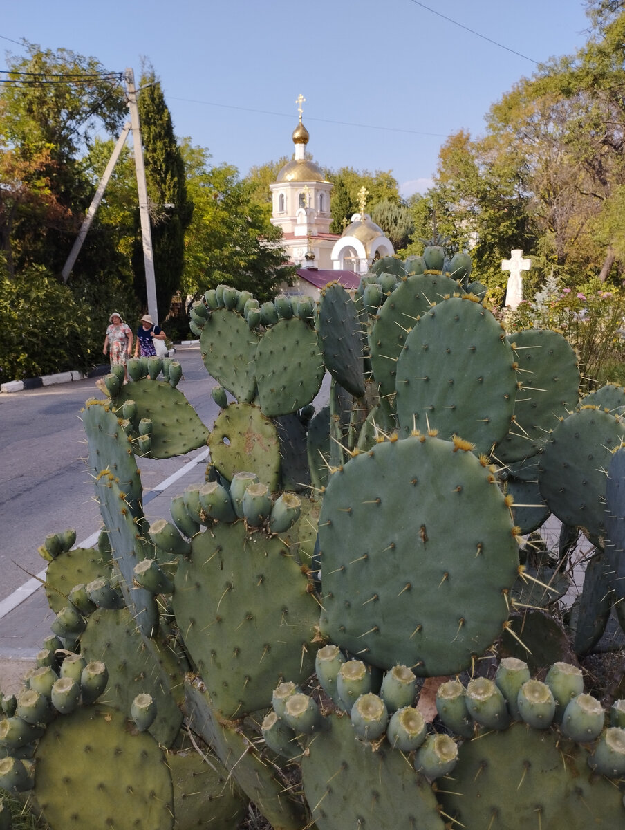 Храм в 1 горбольнице