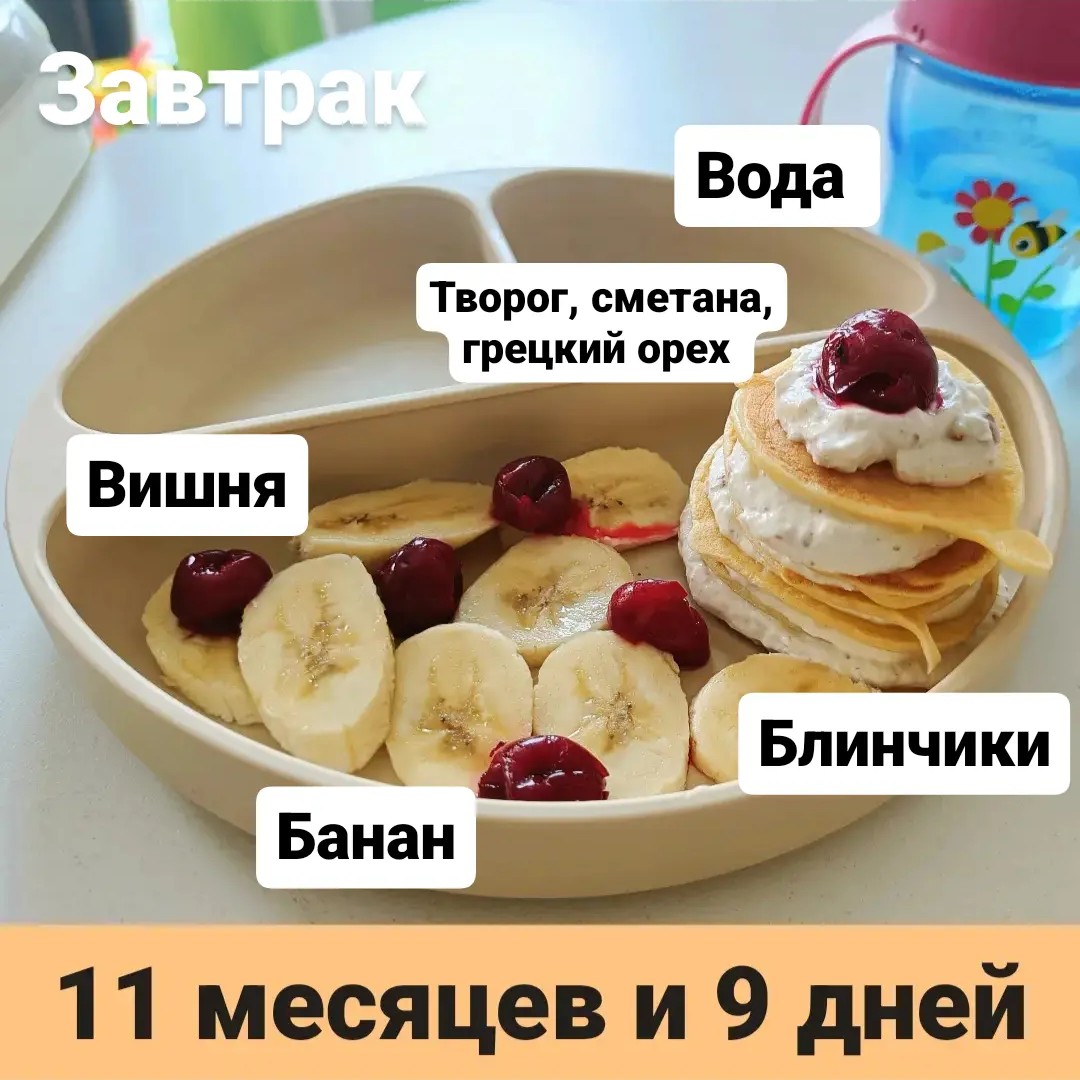 Пример тарелки в 11 месяцев 