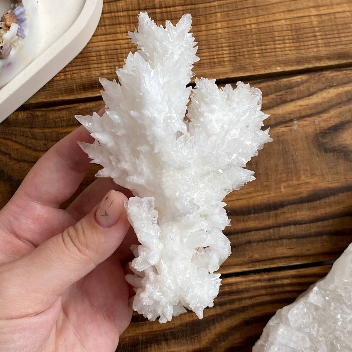 Друза арагонита из Марокко