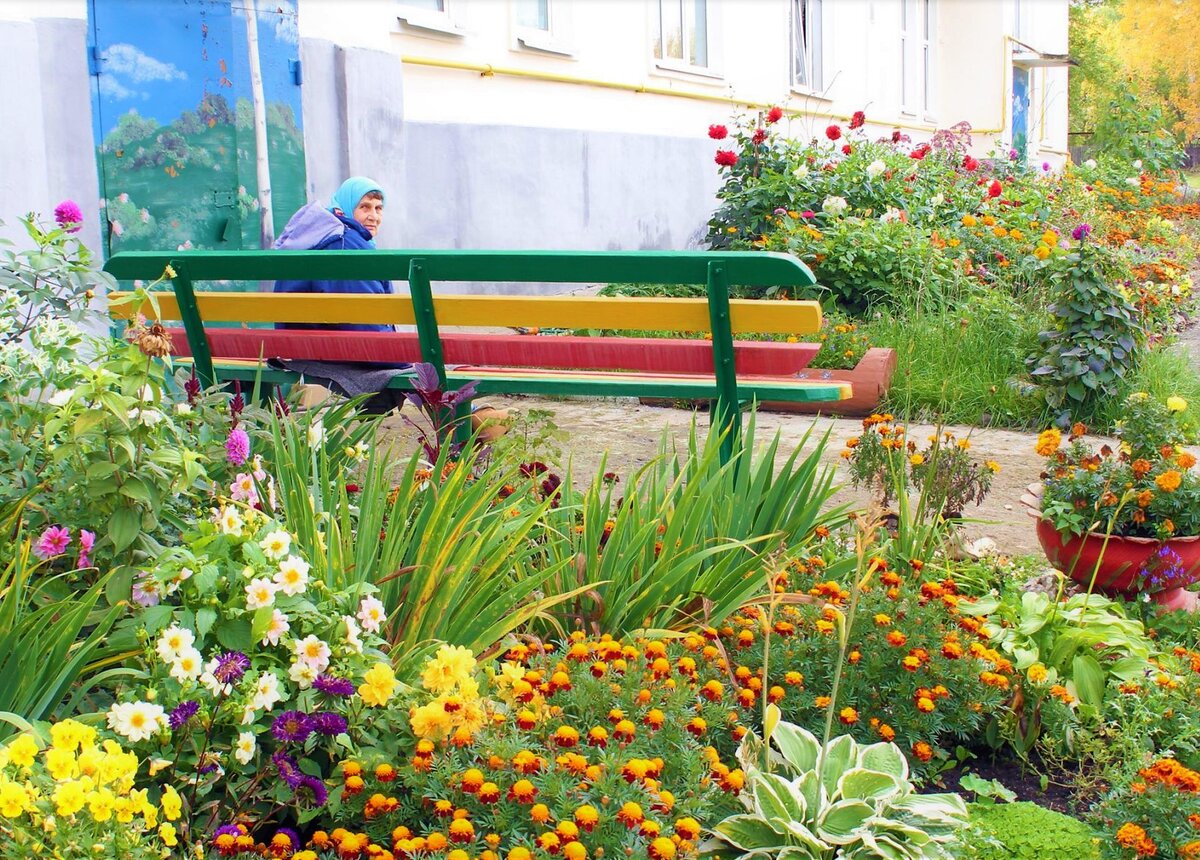 Фото из свободных источников