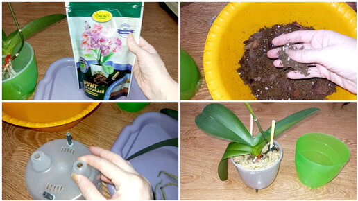 10 шт. Горшки для орхидей прозрачные