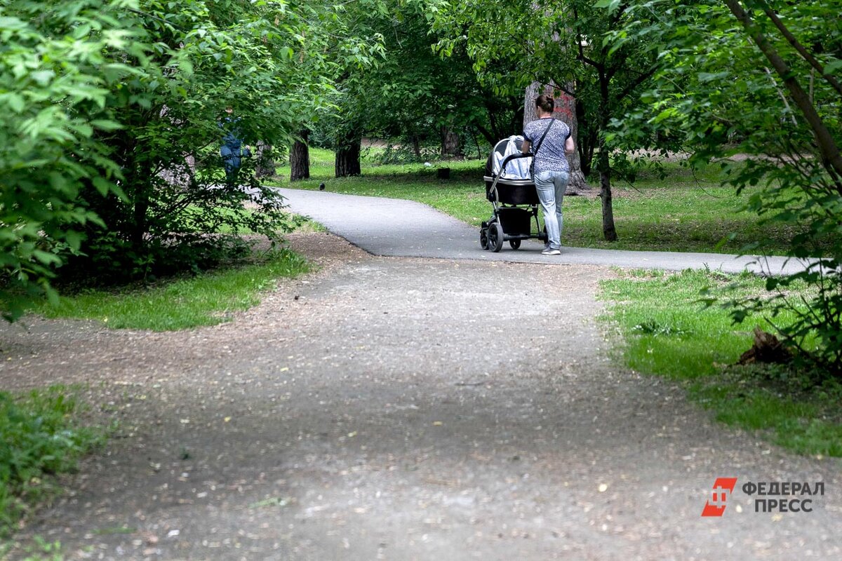 Родителям необходимо подать заявление в СФР.  Фото: Фото: ФедералПресс/ Евгений Поторочин