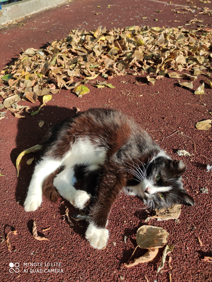 Можете тоже посчитать